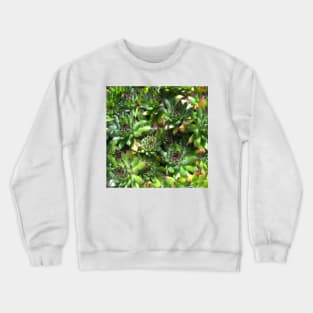 Succulent splendour  green bloom Crewneck Sweatshirt